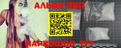прущие грибы Камышлов